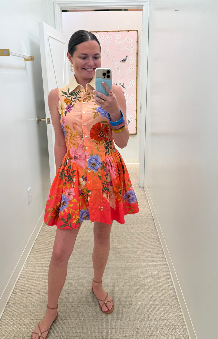 Sierra Mini Dress | Splendor in The Garden