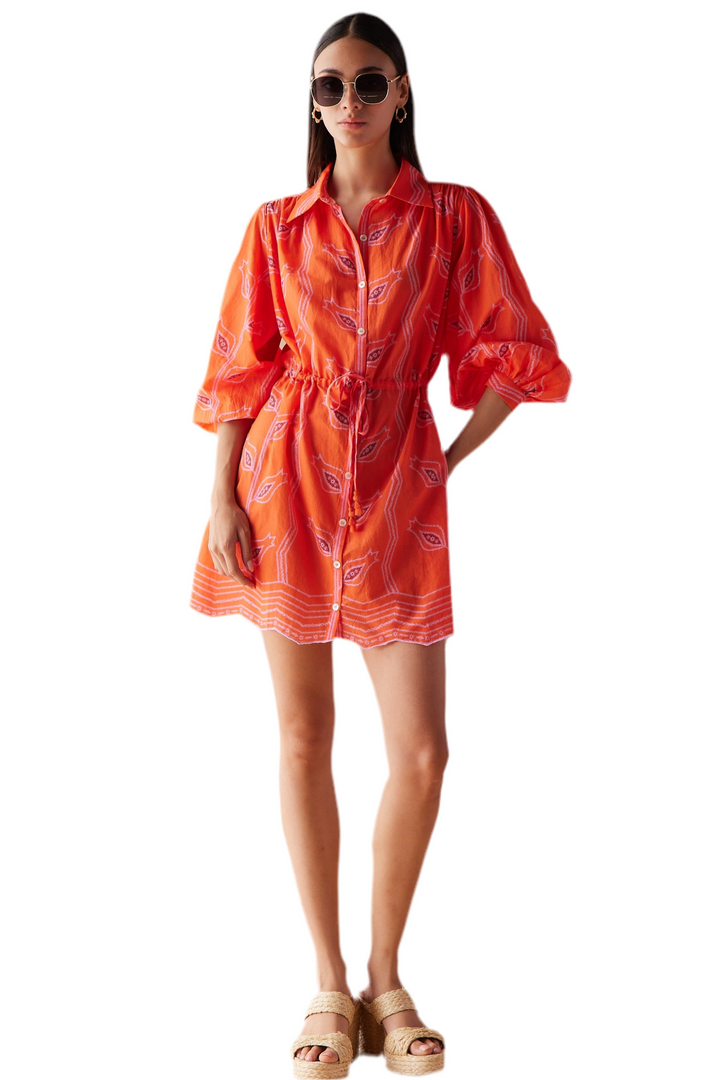 Aria Mini Dress | Vani Papaya