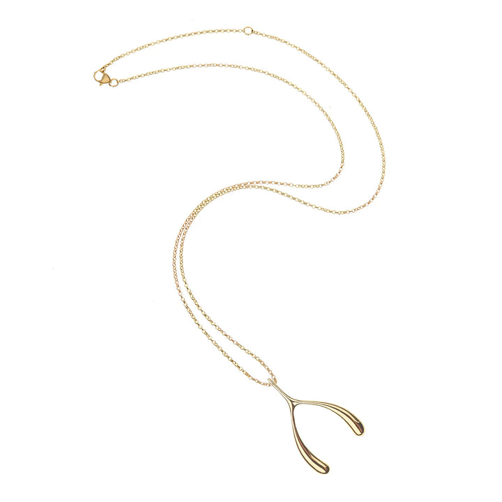 Lucky Gold Wishbone Pendant on Delicate Chain