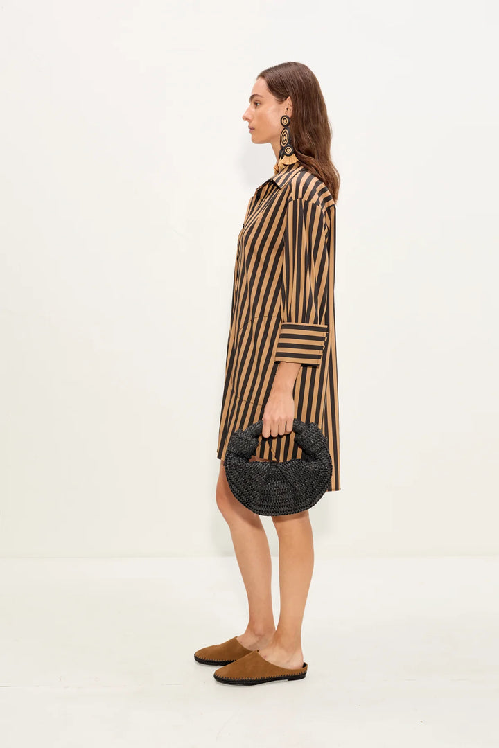 Kena Mini Dress | Black & Tan Stripe