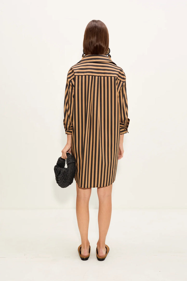 Kena Mini Dress | Black & Tan Stripe