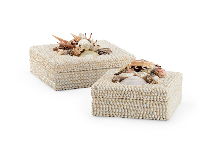 White Shell Boxes