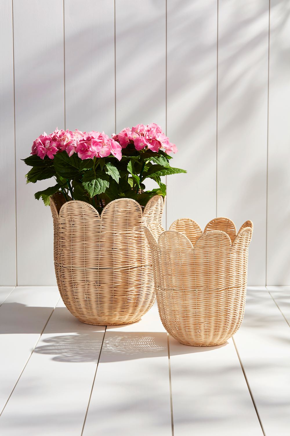 Assorted Scallop Wicker Baskets