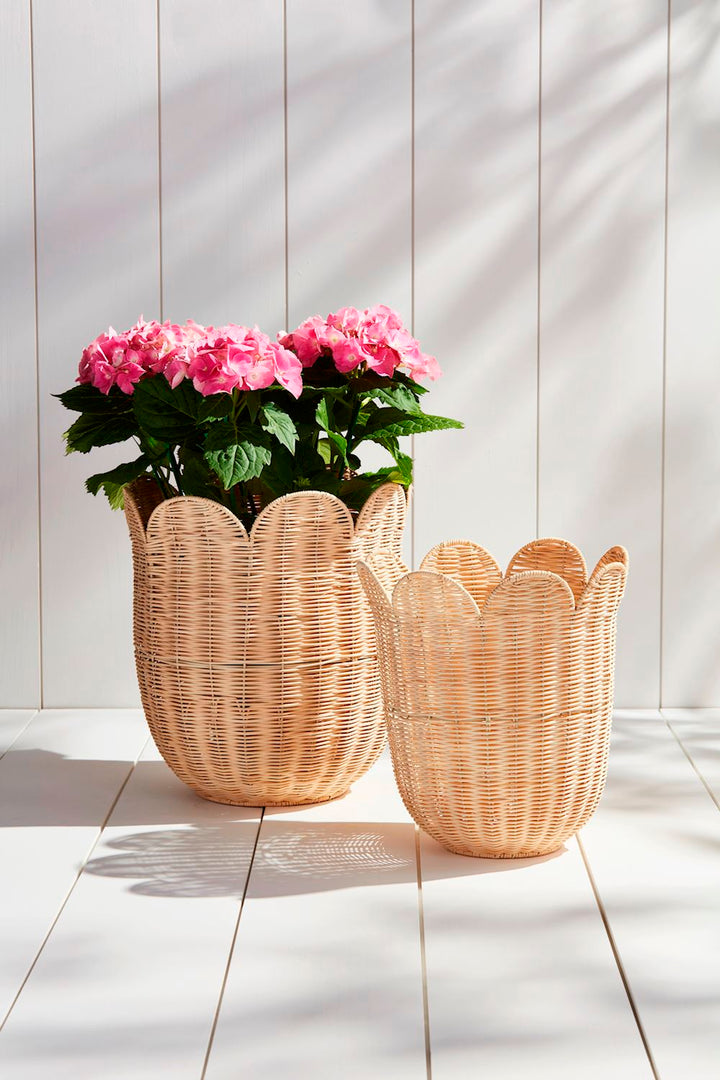 Assorted Scallop Wicker Baskets