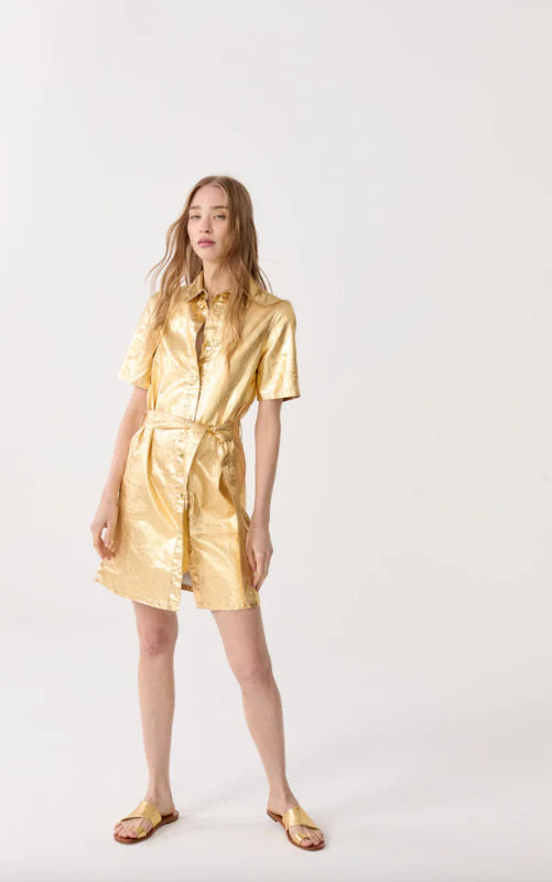 Franca Metallic Linen Dress | Gold