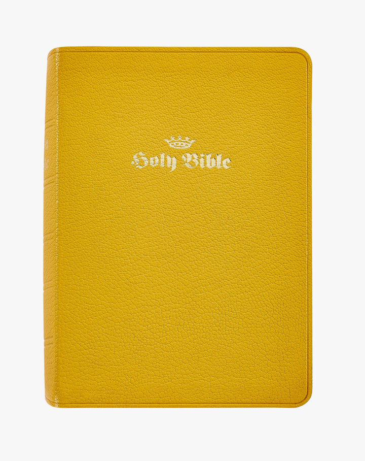 Leather Holy Bible