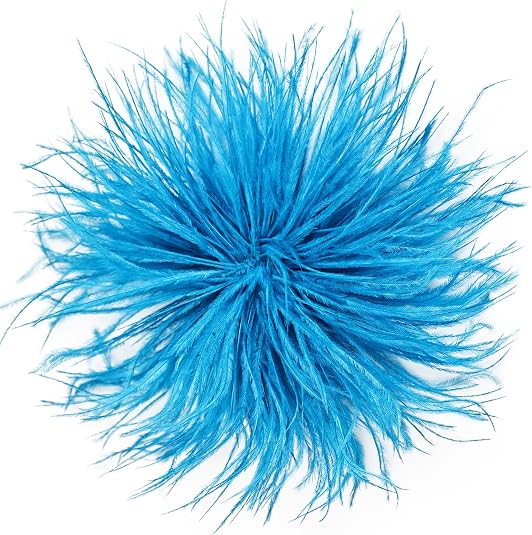 Feather Brooch | +Colors
