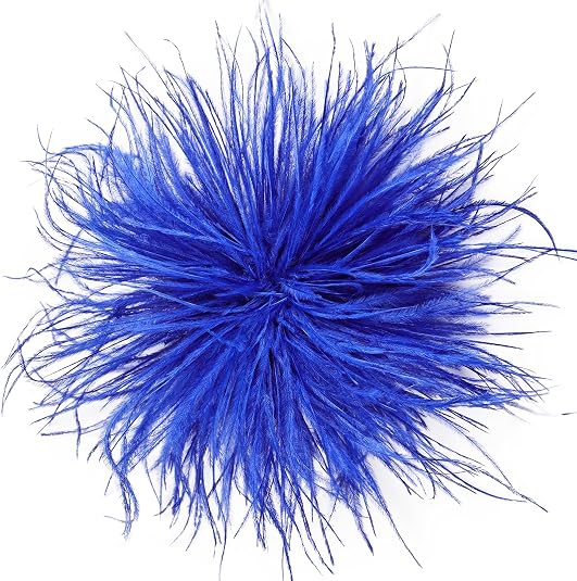 Feather Brooch | +Colors