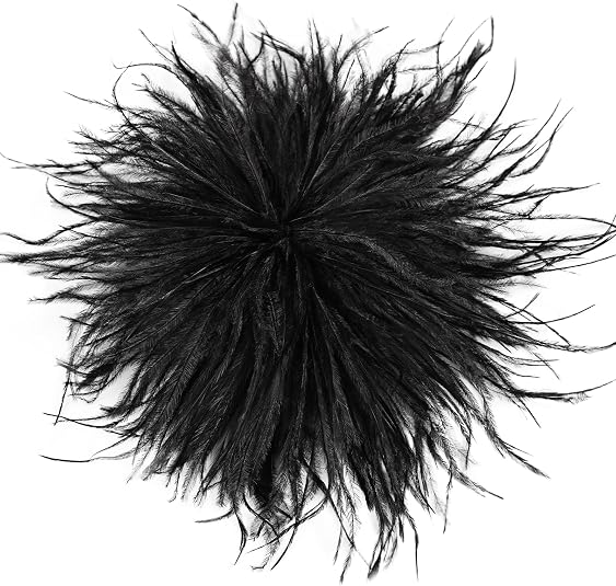Feather Brooch | +Colors