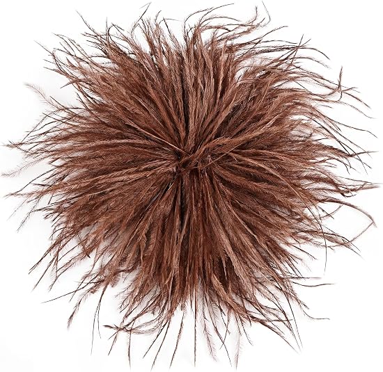 Feather Brooch | +Colors