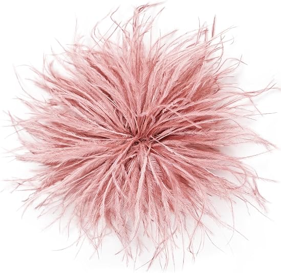 Feather Brooch | +Colors