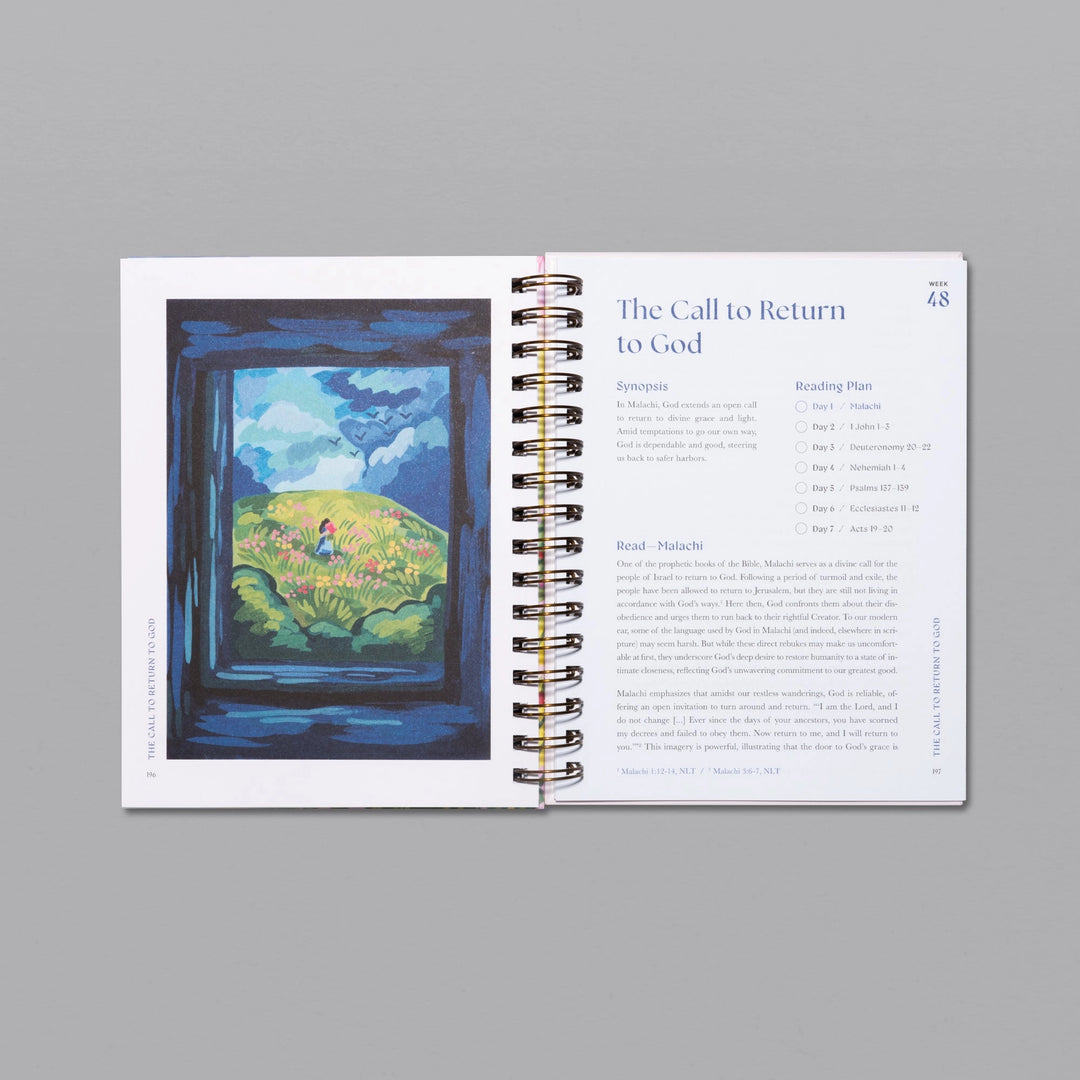 A Beautiful Year in the Bible | 52-Week Bible Study for Women