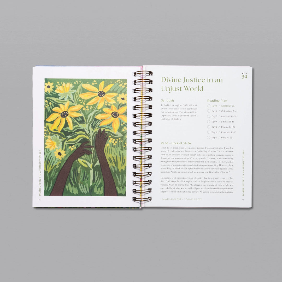 A Beautiful Year in the Bible | 52-Week Bible Study for Women