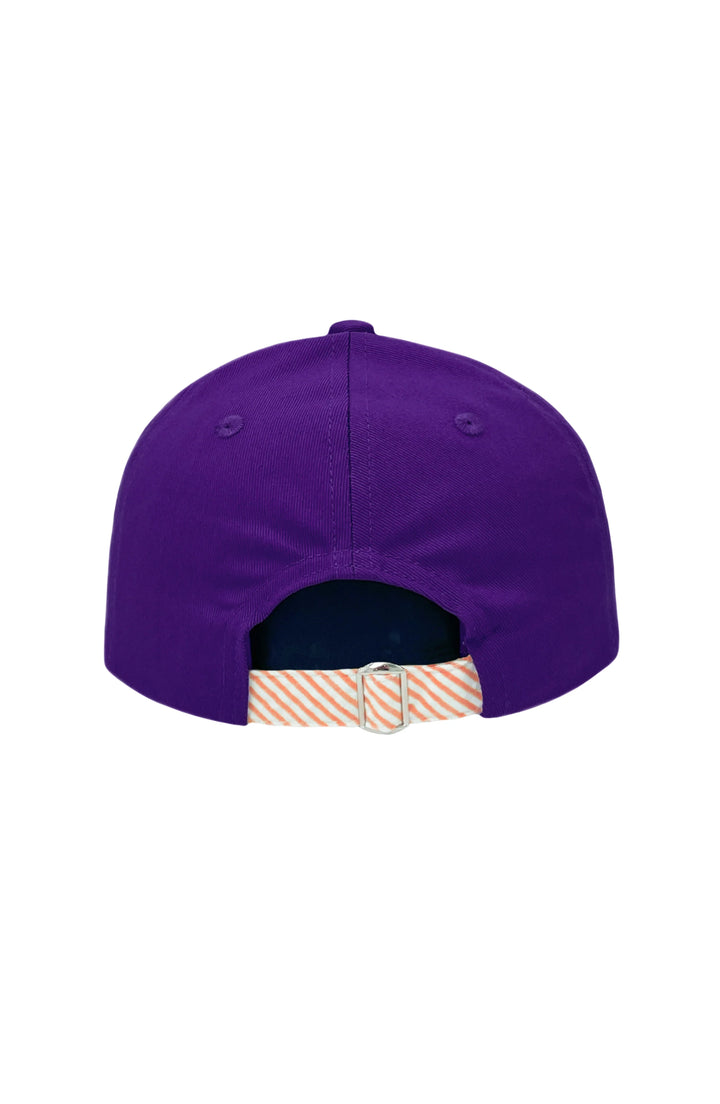 Children's Clemson Baseball Hat