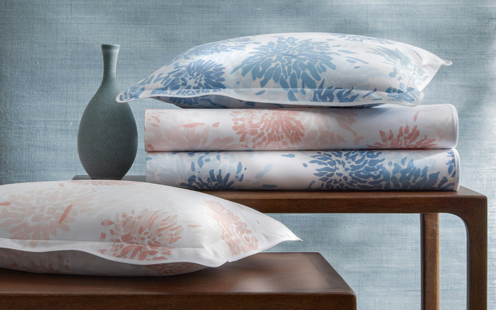 Chrysanthemum Shams