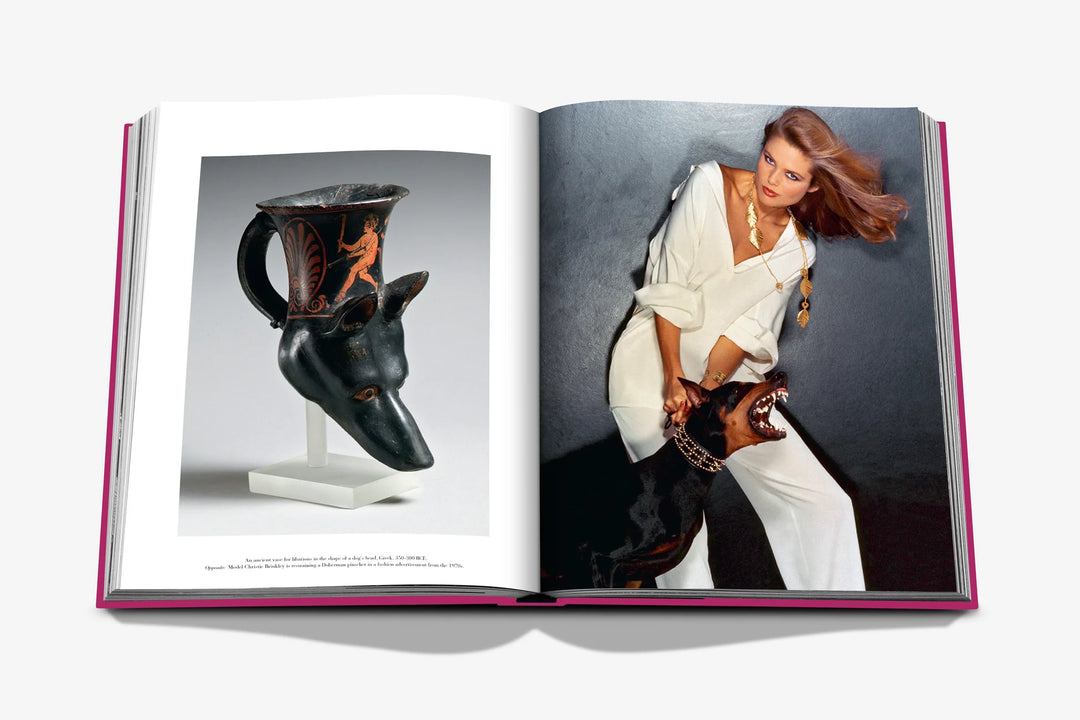 Chic Dogs Coffee Table Book