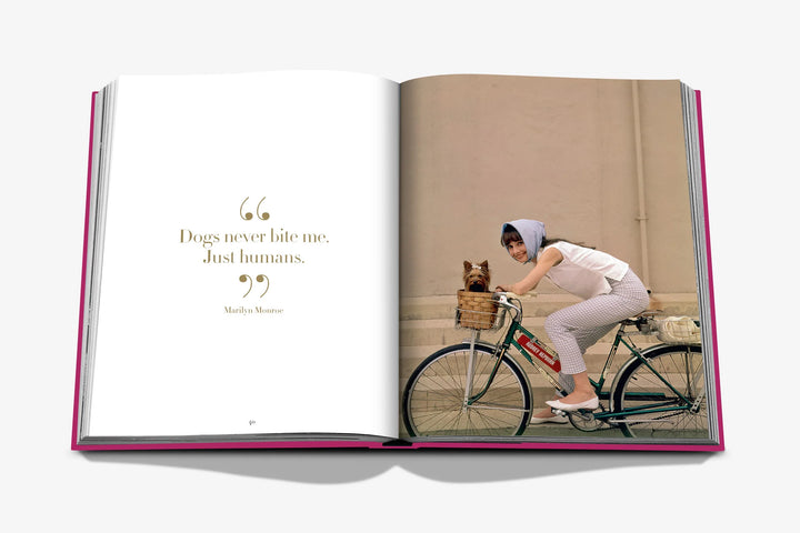 Chic Dogs Coffee Table Book