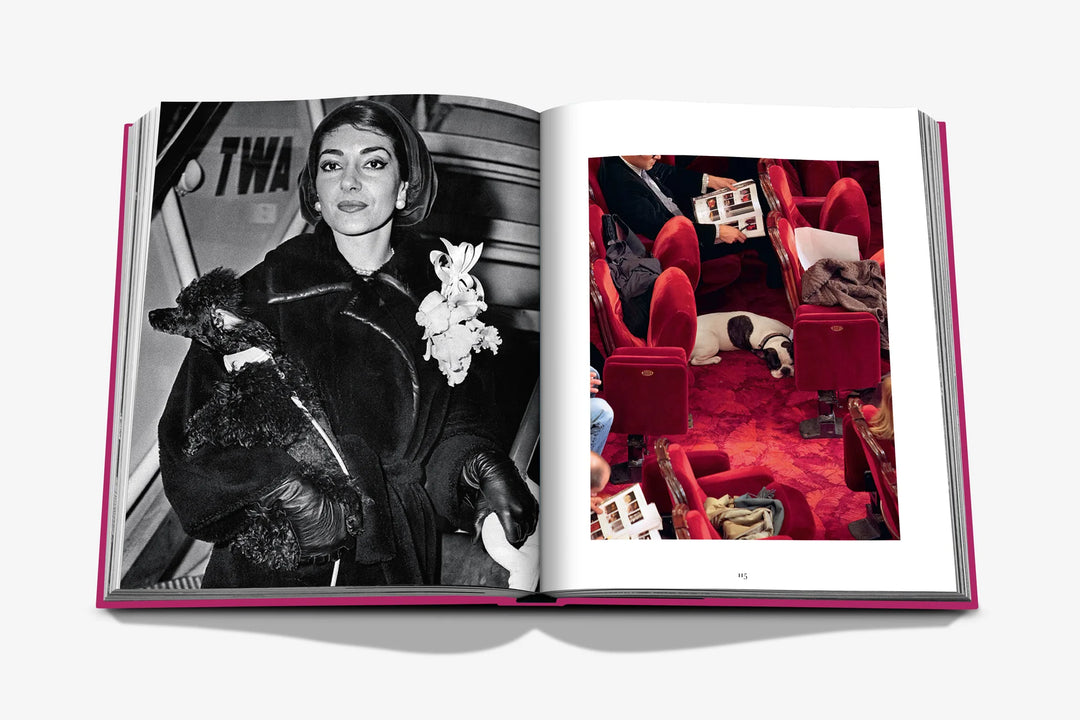 Chic Dogs Coffee Table Book