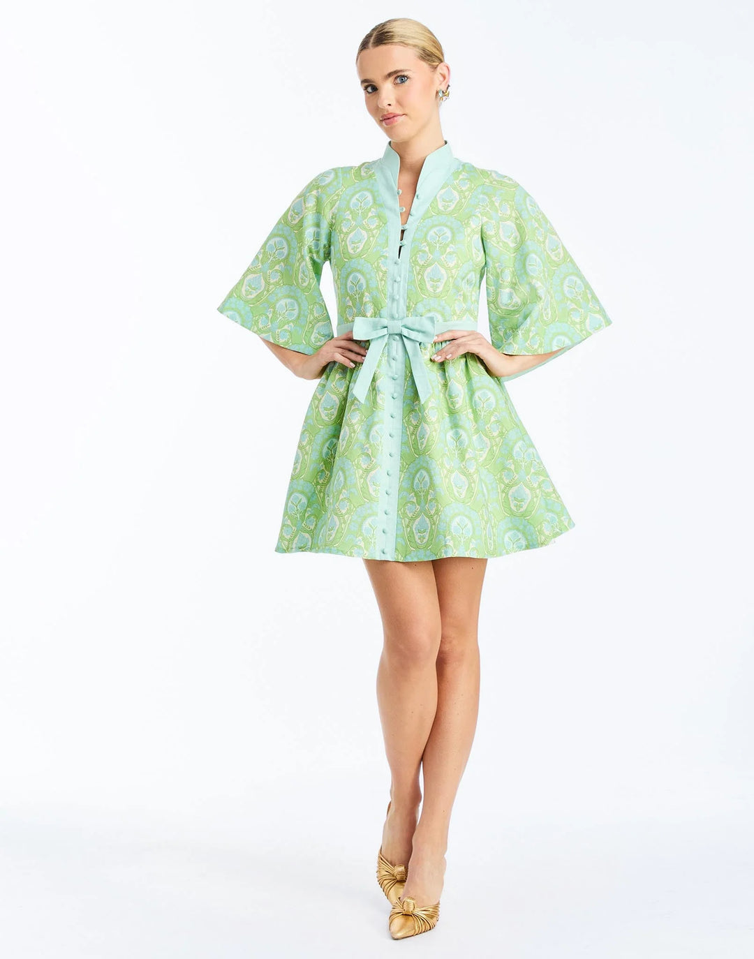 Carmen Mini Dress | Trellis Verte - Charlotte's Inc