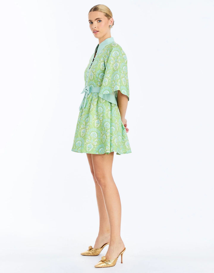 Carmen Mini Dress | Trellis Verte - Charlotte's Inc