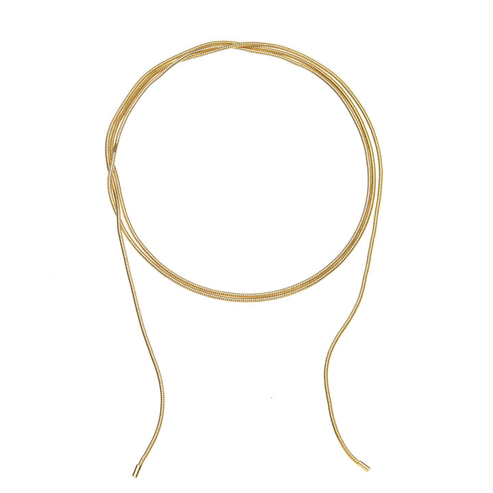 Double Wrap Snake Chain Necklace