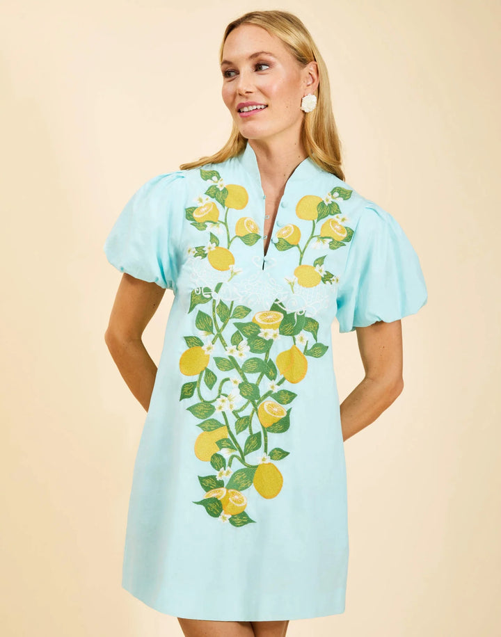 Elliana Mini Dress | Citrus Green - Charlotte's Inc
