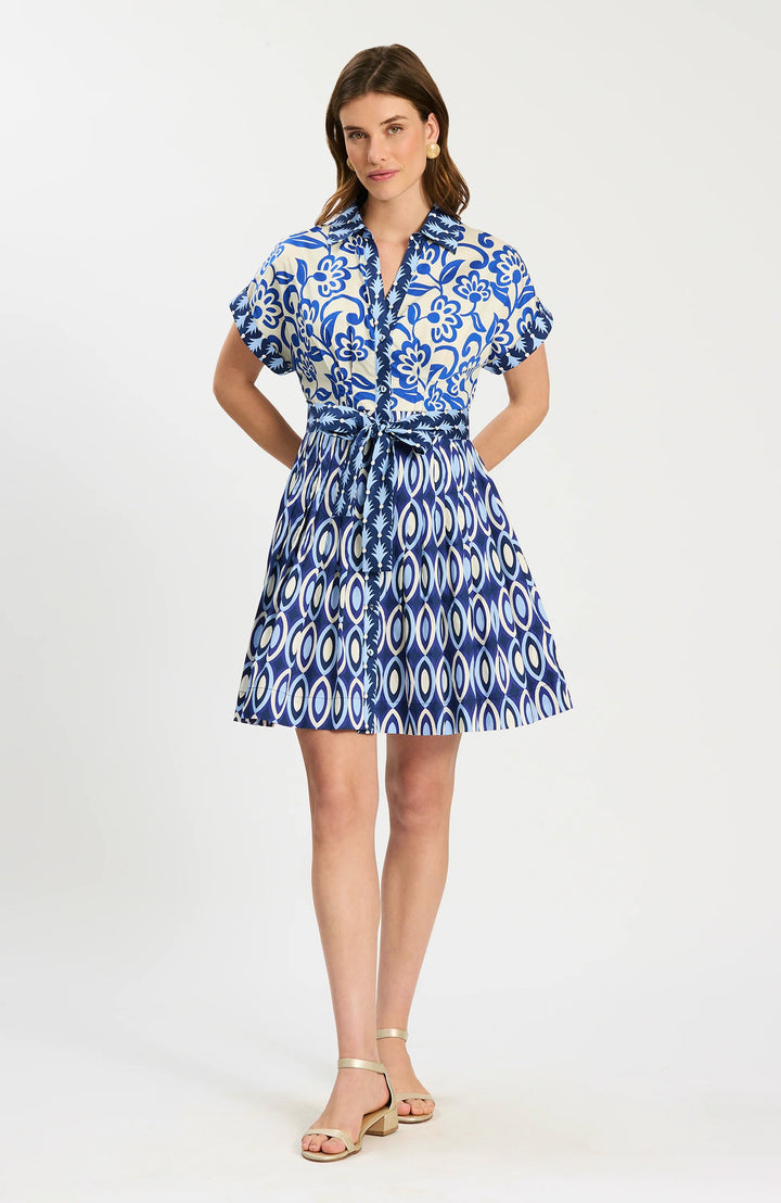 Hailey Graphic Folly Dress | Graphic Folly