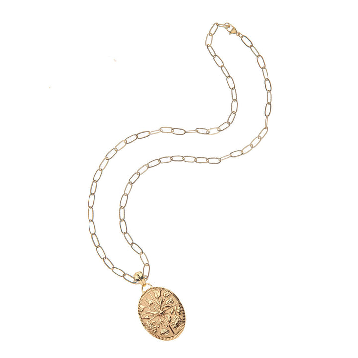 Hope JW original locket necklace