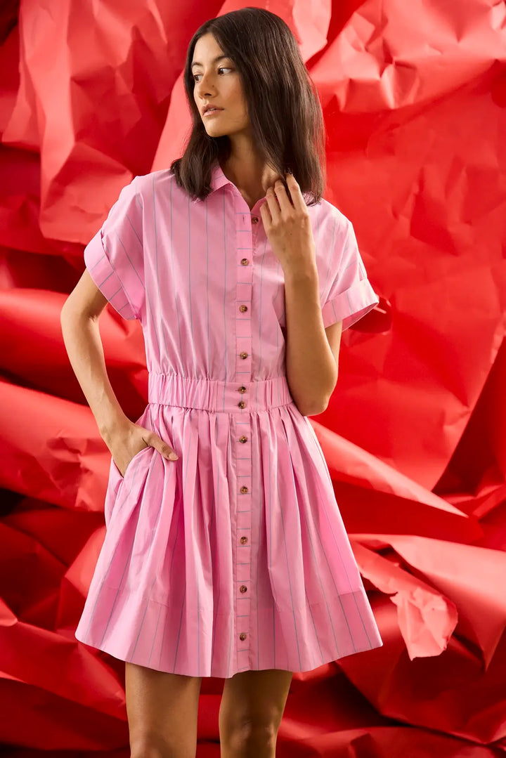 Howard Dress | Watermelon Stripe
