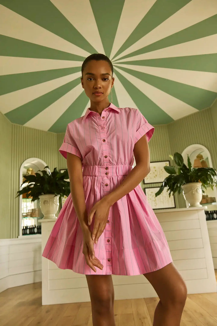 Howard Dress | Watermelon Stripe