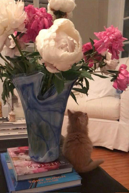 Assorted Vietri Onda Vases