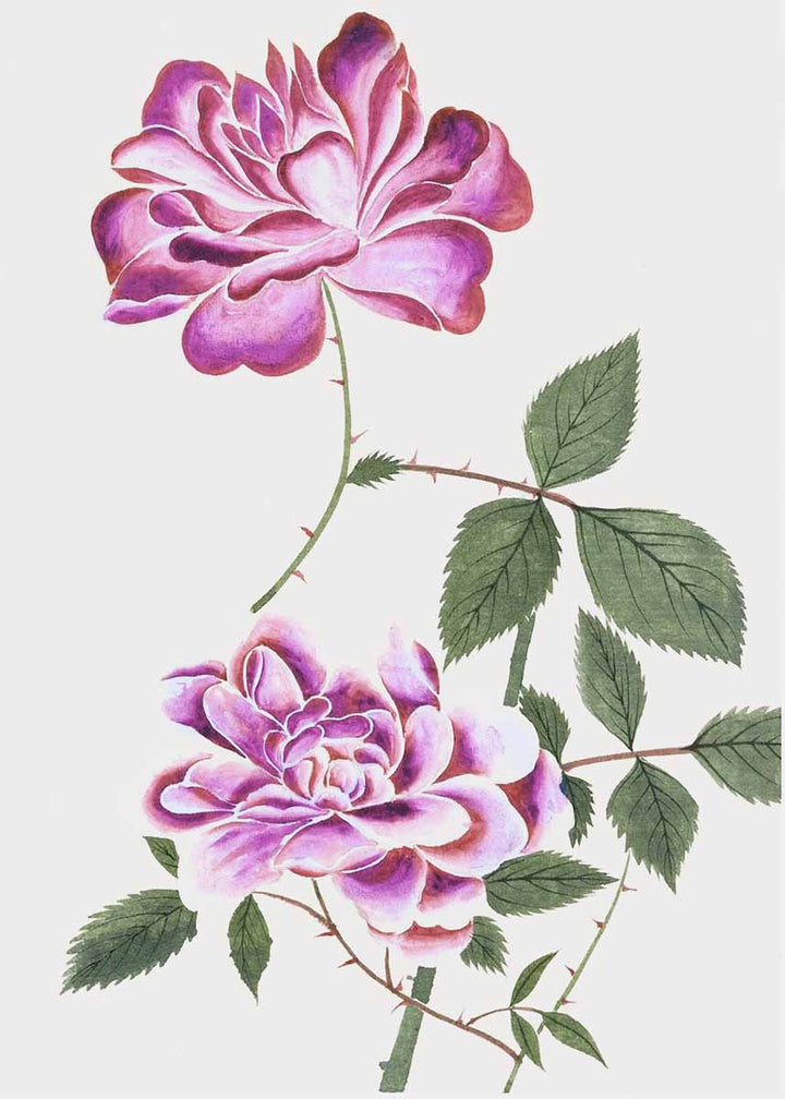 Japanese Woodblocks | Purple (1356C)