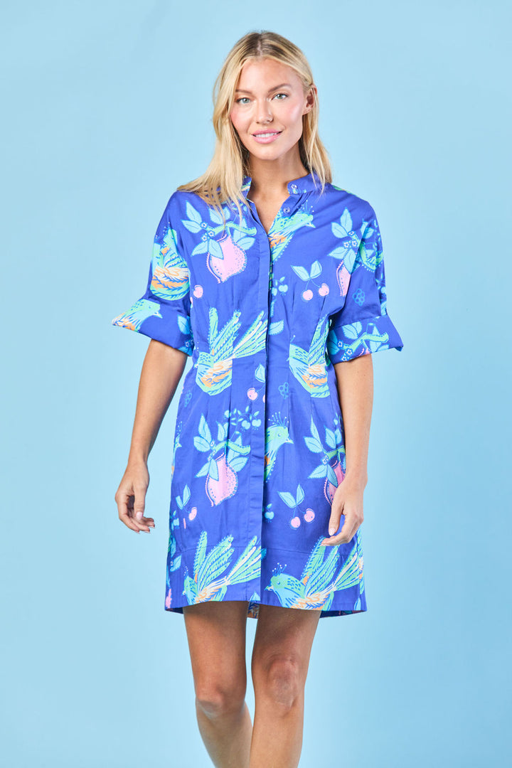 Parker Dress | Indigo Songbird