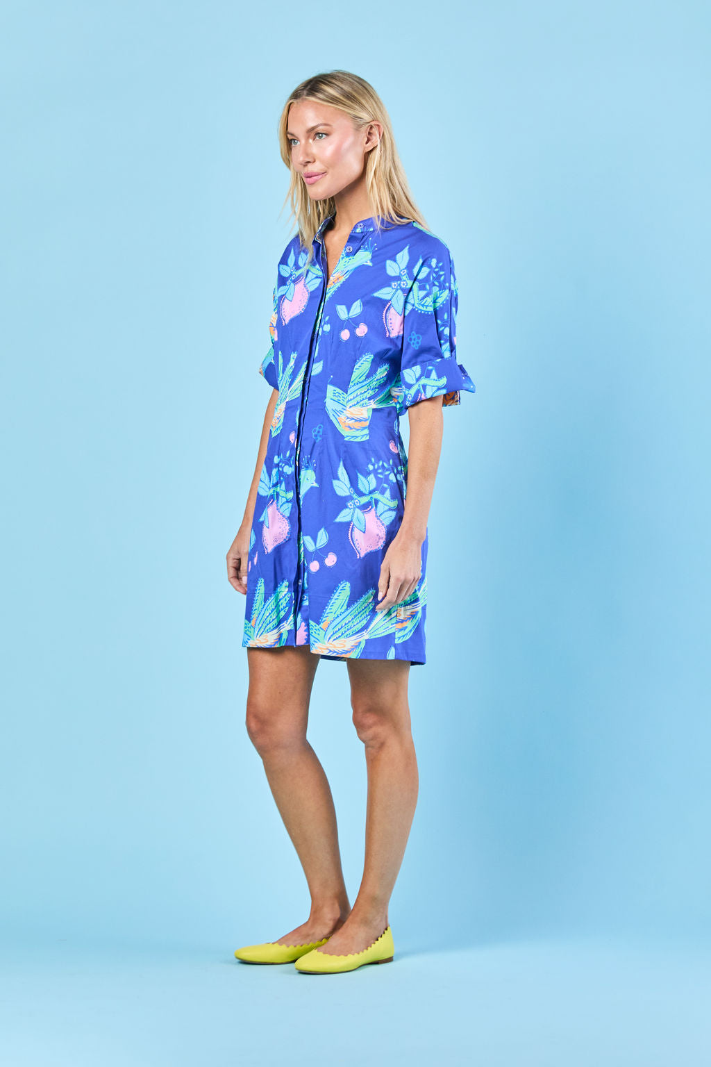 Parker Dress | Indigo Songbird