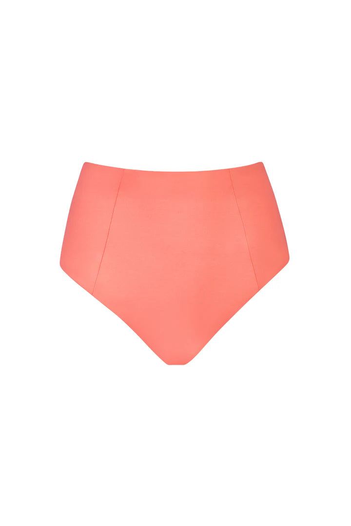 Micha Bottom | Coral