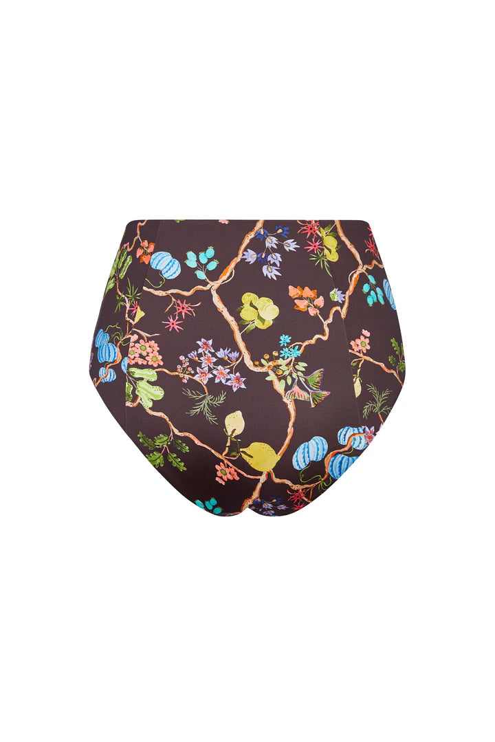 Micha Bottom | Grove