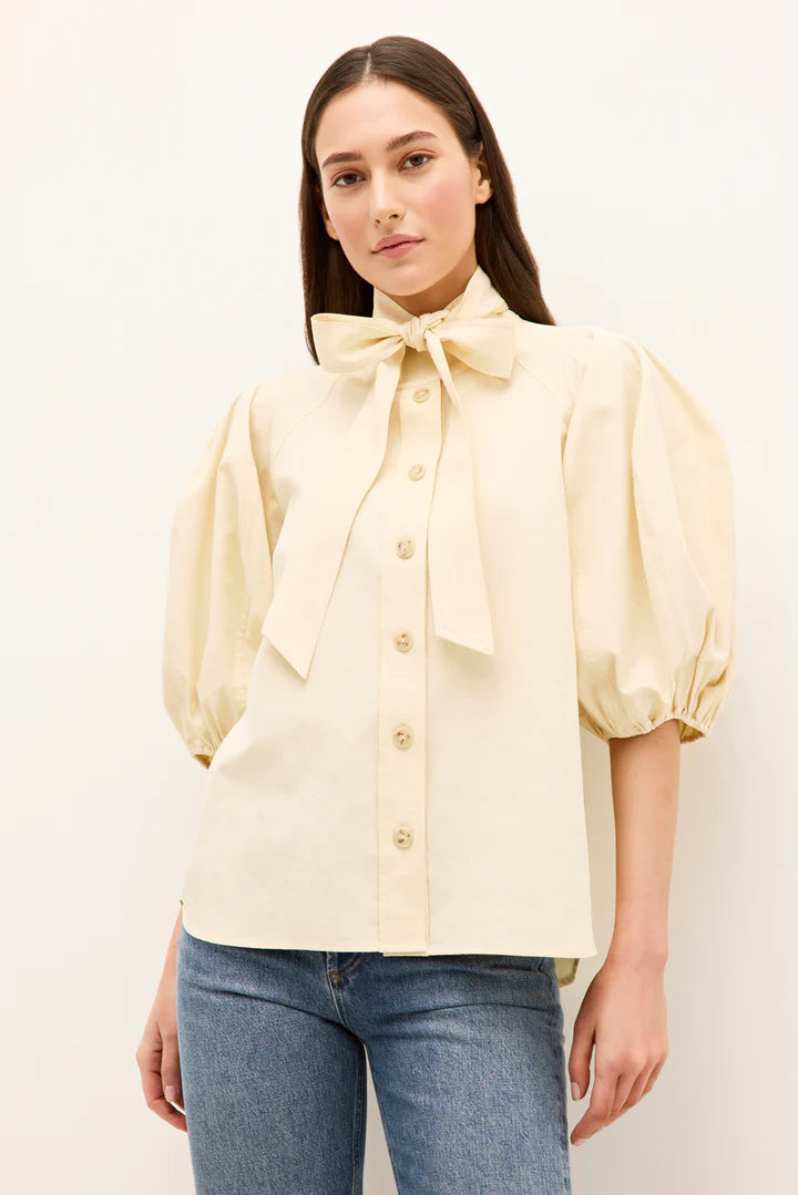 Navi Top | Turtledove