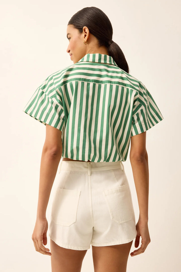 Sierra Top | Verdure