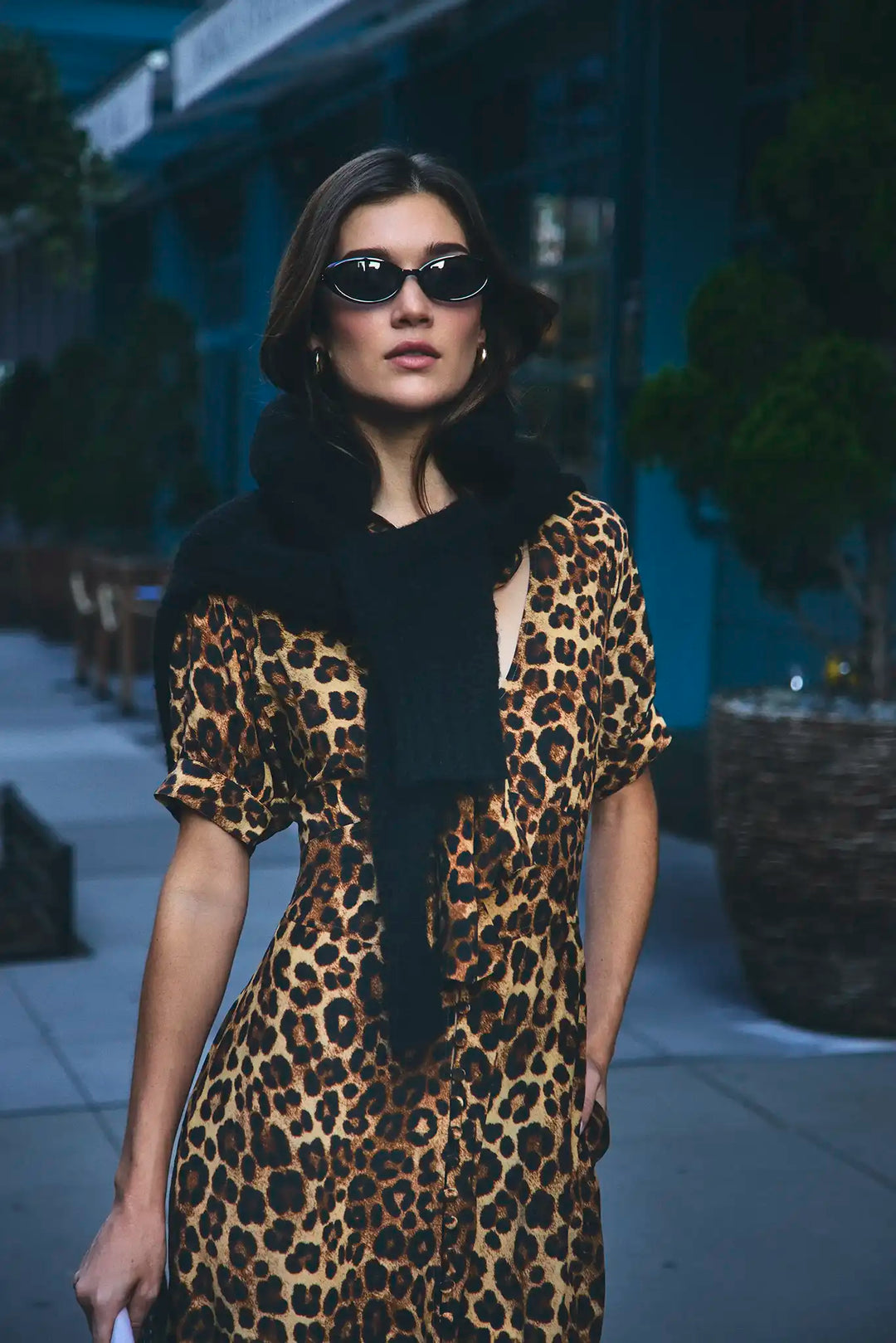 Redmond Dress | Soho Leopard Camel
