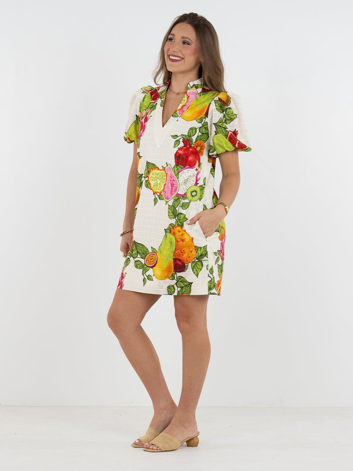 Hampton Mini Dress | Trellis Grove