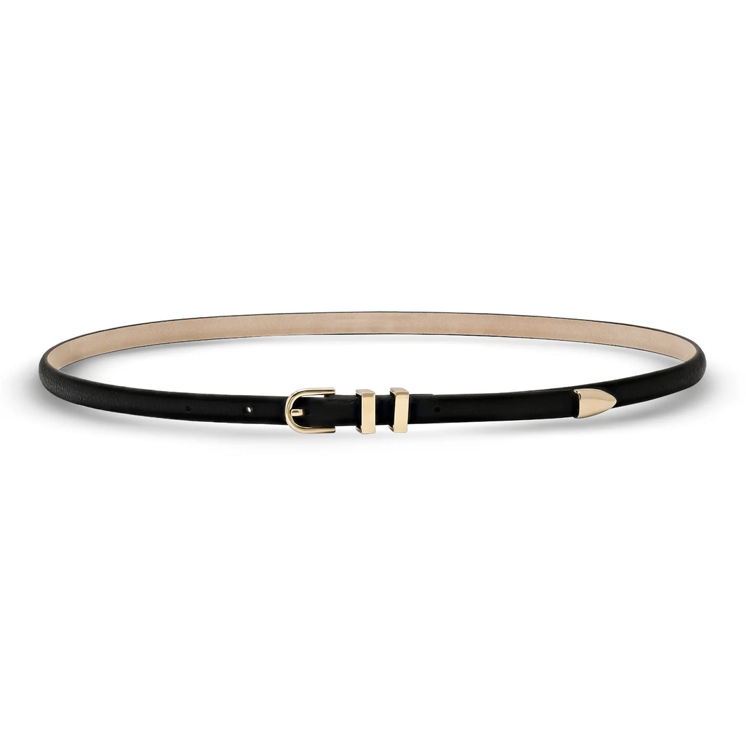 Lexington Belt | Black and Gold