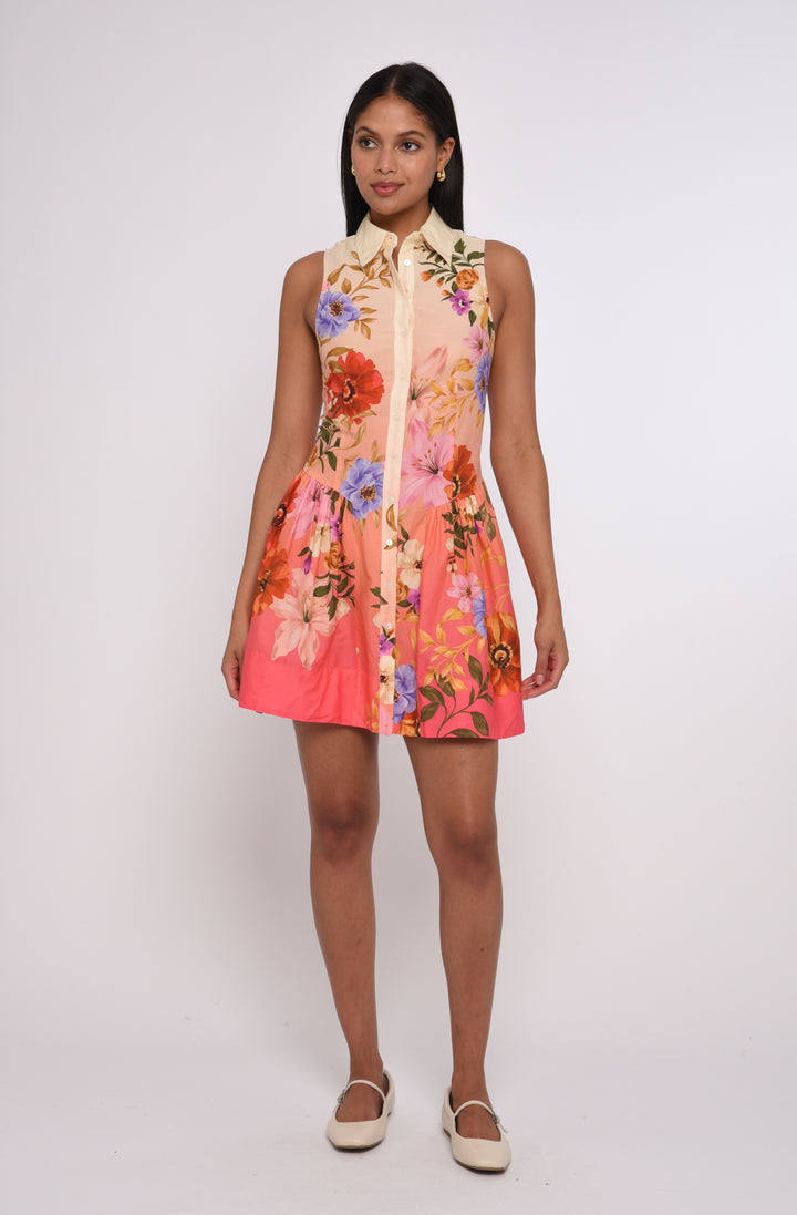 Sierra Mini Dress | Splendor in The Garden