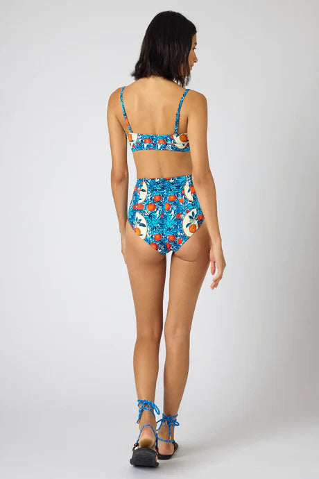 Two-Piece Swim Bikini Bottom | Orange Grove