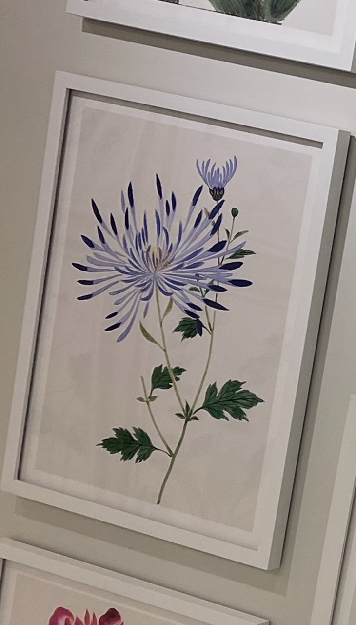 Japanese Woodblocks | Purple (1340C)