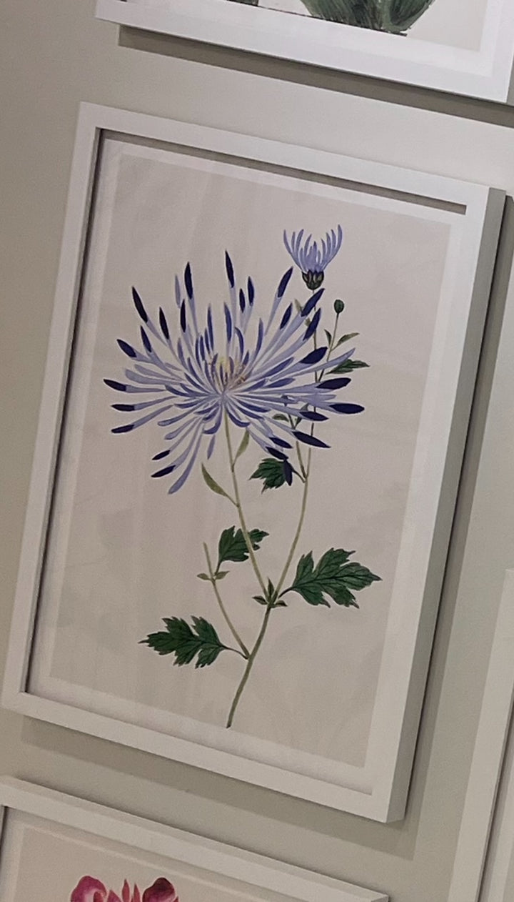 Japanese Woodblocks | Purple (1340C)