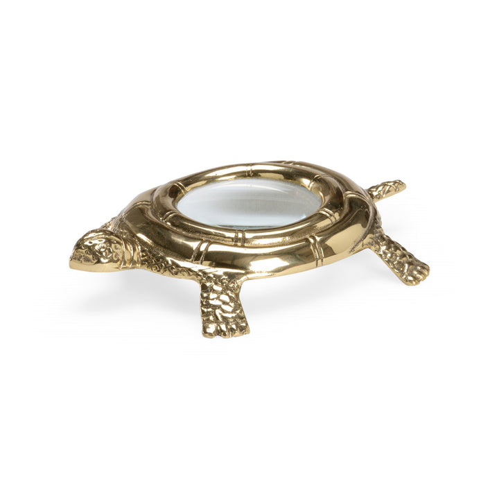 Turtle  Magnifier