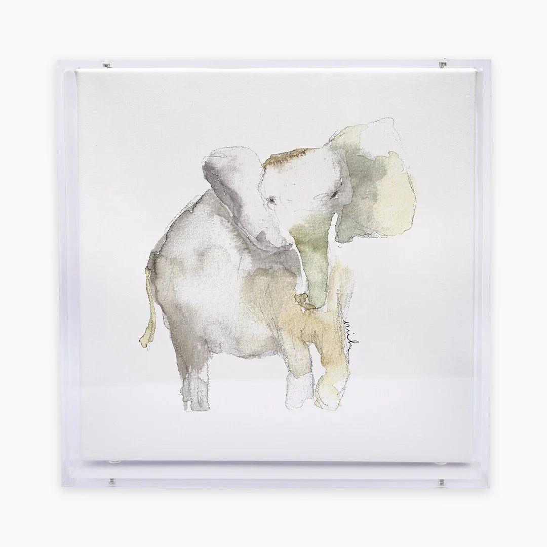 Assorted Anne Neilson Animal Shadow Box Print