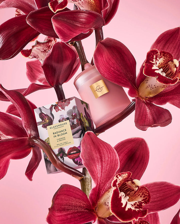 Glasshouse Radiance In Bloom | + Products