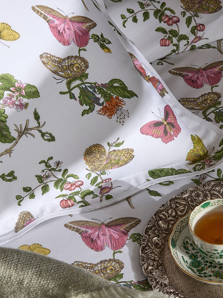 Baudin Butterfly Shams & Cases | + Colors