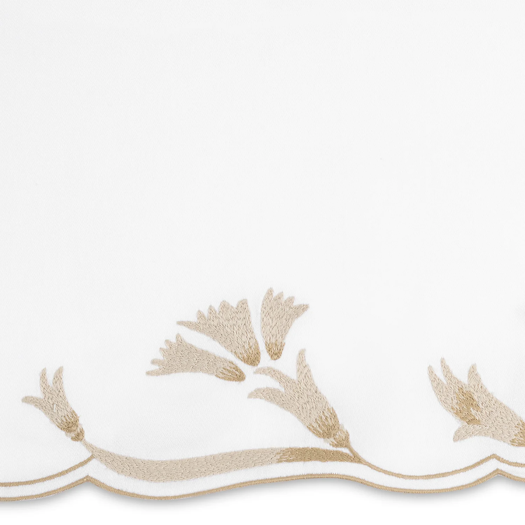 Marcella Collection | + Colors